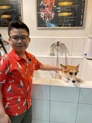 Filming E learning materials and Zander helping with a Corgi's bath