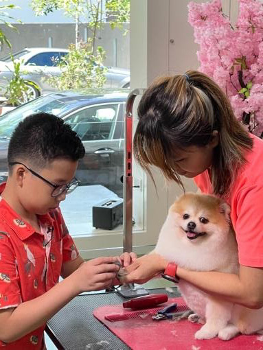 Young Entrepreneur Trimming Dog Nails